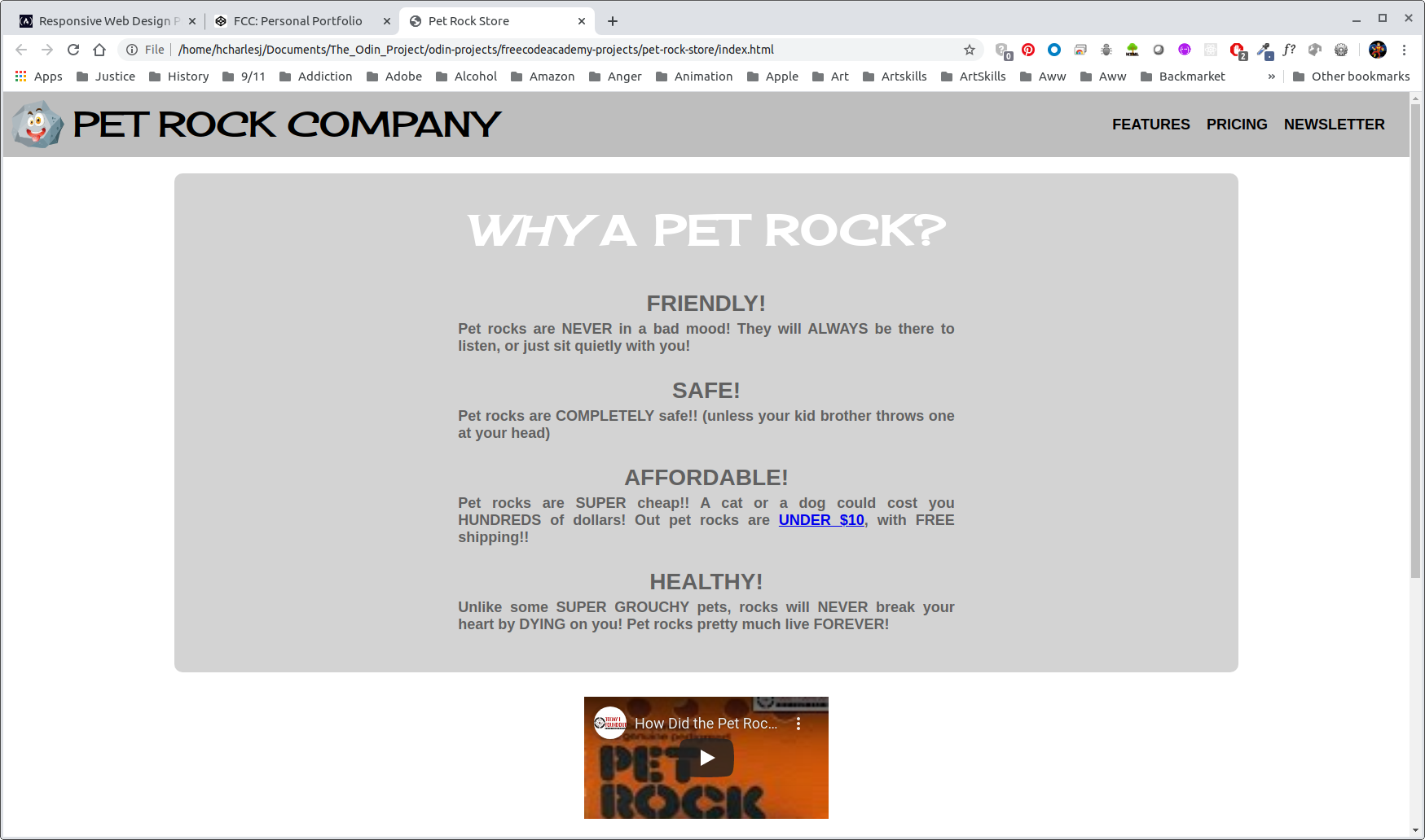 pet-rock-page